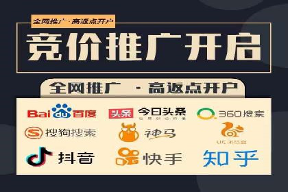 SEM推广优化策略：成功案例解析